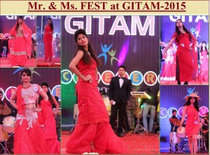 Mr.& Ms Fest